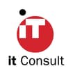 Logo It Consult Srl