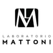 Logo Laboratorio Mattoni Srl