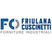 Logo Friulana Cuscinetti Srl