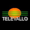 Logo Televallo Radio Televisione Srl O Piu' Brevemente T.l.v. Srl