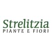 Logo Strelitzia Di Lo Vetere Fernanda & C. - S.n.c.