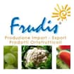 Logo Frudis Srl