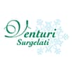 Logo Venturi Srl