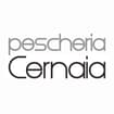 Logo Pescheria Cernaia 2 S.n.c. Di Bettarini Marco E Bertone Gianluca