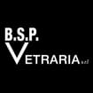 Logo B.s.p. Vetraria Srl