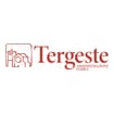 Logo Amministrazione Stabili Tergeste Srl