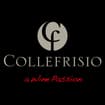 Logo Collefrisio Tenuta Gibillera E Tenute Ruzzolaio Srl Ovvero Collefrisio Ovvero Tenuta Gibillera Ovvero Tenute Ruzzolaio