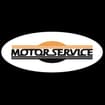 Logo Motor Service Snc Di Razzini Paolo E Luca