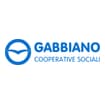 Logo Il Gabbiano - Società Cooperativa Sociale - Onlus