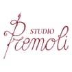 Logo Premoli Srl Società Tra Professionisti