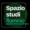 Logo Spazio Studi Flaminio Srl