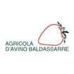 Logo D'avino Baldassarre