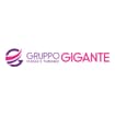 Logo Gruppo Gigante Srl