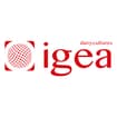 Logo Igea Srl