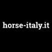 Logo Horse Italy S.a.s. Di Riccardi Ivan & C.