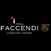 Logo Faccendi Srl