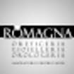 Logo Romagna Bertilrito Srl