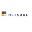 Logo Netsoul Srl