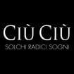 Logo Società Agricola Ciu' Ciu' Di Bartolomei Massimiliano E Bartolomei Walter S.s. Anche Azienda Vitivinicola Ciu' Ciu' Di Bartolomei M. & W. S.s.