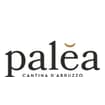 Logo Cantina Sociale Di Paglieta - Società Cooperativa Agricola