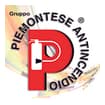 Logo Piemontese Antincendio Srl
