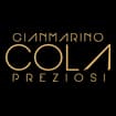 Logo Gianmarino Cola S.r.l