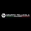 Logo Gruppo Pellicola Srl