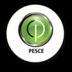Logo Pesce Srl