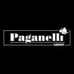 Logo Paganelli Group Srl