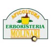 Logo Molinari Assunta