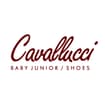 Logo Cavallucci Srl