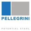 Logo Pellegrini Srl