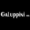 Logo Galuppini Srl