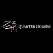 Logo 23 Quarter Horses Srl