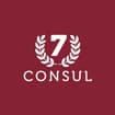 Logo Consul 7 Services Srl