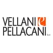 Logo Vellani E Pellacani Srl