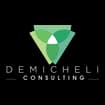 Logo Demicheli Consulting Di Ing. Demicheli Lelio E Dott.ssa Camere Cinzia Ss Tra Professionisti Siglabile "Demicheli Consulting S.s.-S.t.p."