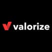 Logo Valorize Srl