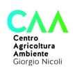 Logo C.a.a. Giorgio Nicoli Srl