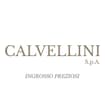Logo Calvellini Pietro Spa