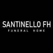 Logo Angelo Santinello 1919 Srl