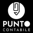 Logo Punto Contabile Srl