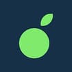 Logo Greenorange Srl