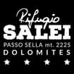 Logo Salei Srl
