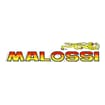 Logo Malossi Spa