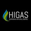 Logo Higas Srl