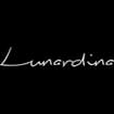 Logo Dina S.a.s. Di Lunardini Danilo E C.