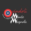 Logo Monte Magnola Impianti Srl