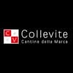 Logo Collevite Srl - Cantine Della Marca