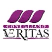 Logo Veritas Conegliano Srl